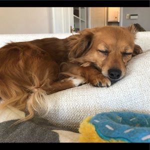 Meet your Posher, Olivia